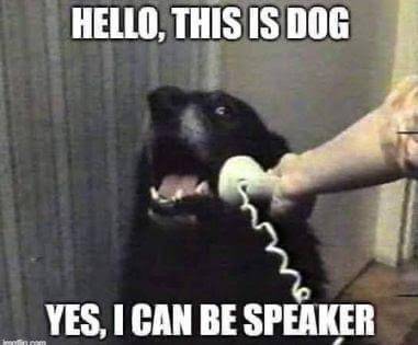 When you answer the phone and realize it's on speaker.