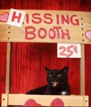 Thought I was getting a Valentines kiss, but I got this instead. Worth it?