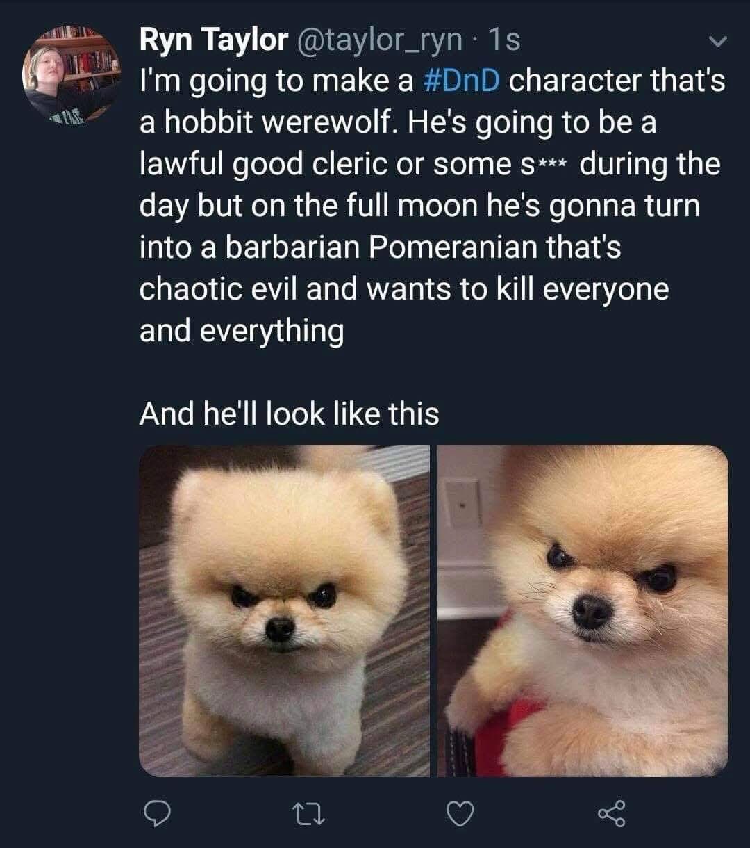 When your DnD character's cute fluffy form is secretly a rage monster waiting to happen