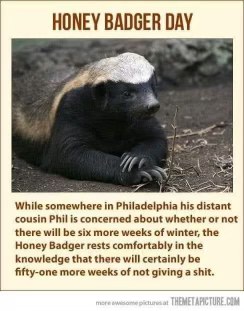 Honey badger doesn't care about your weather forecast, or anything else for that matter.