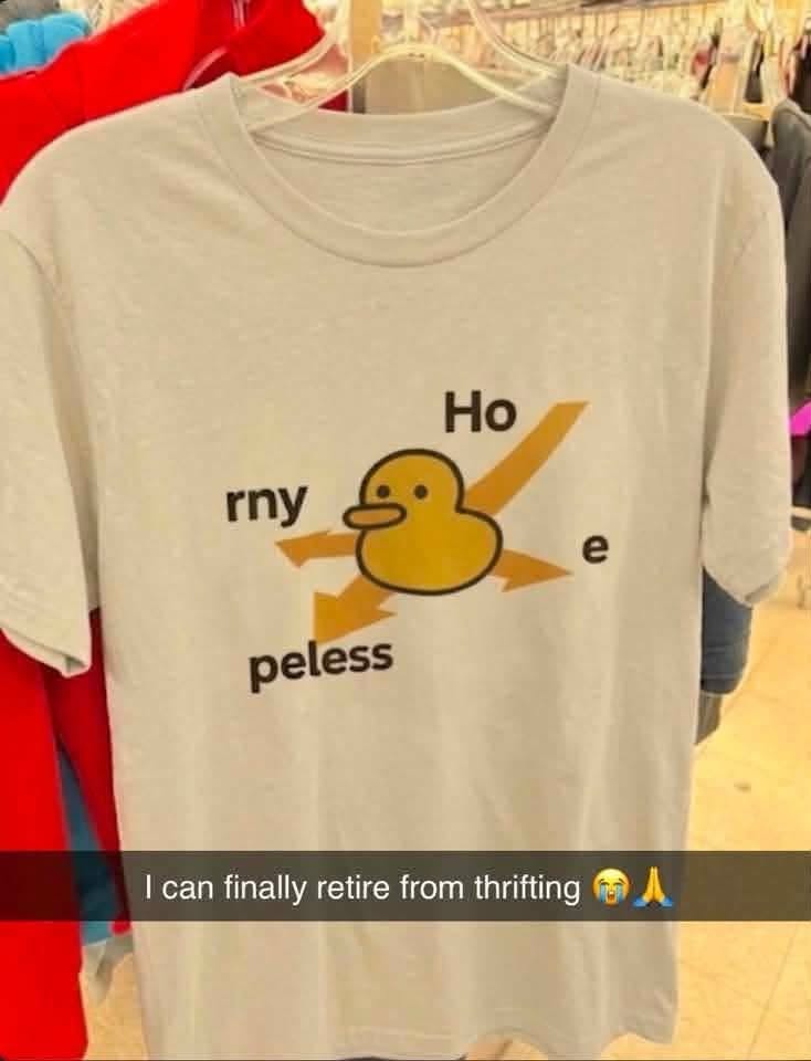 Someone actually made a shirt that says 'horny, hopeless, ho, e'. Peak fashion.