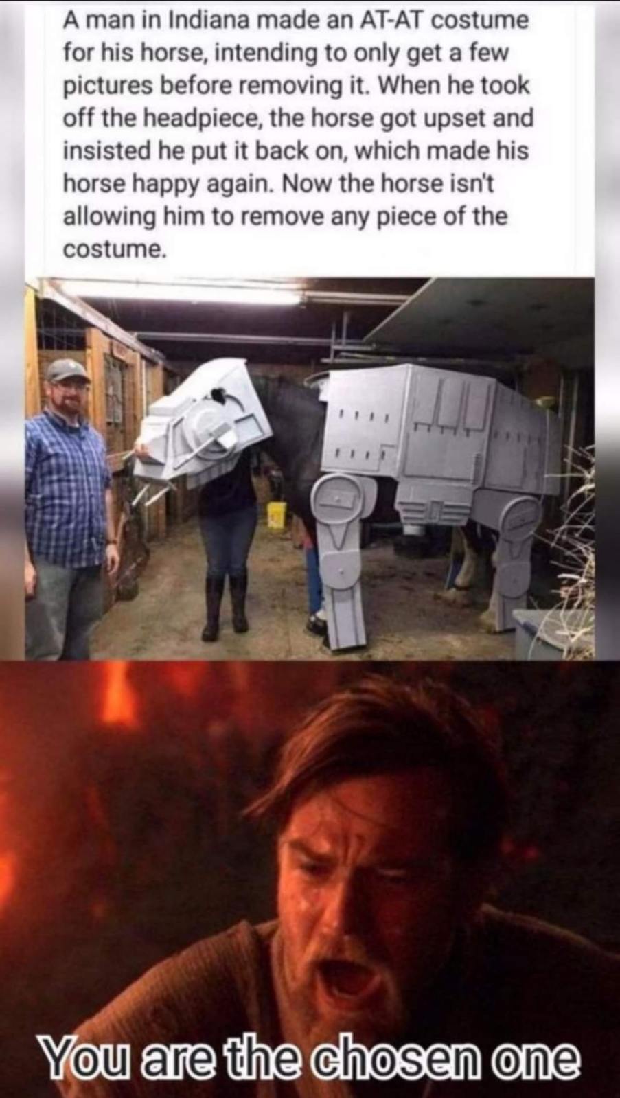 LMAO my horse likes his AT-AT costume so much he won't let me take it off