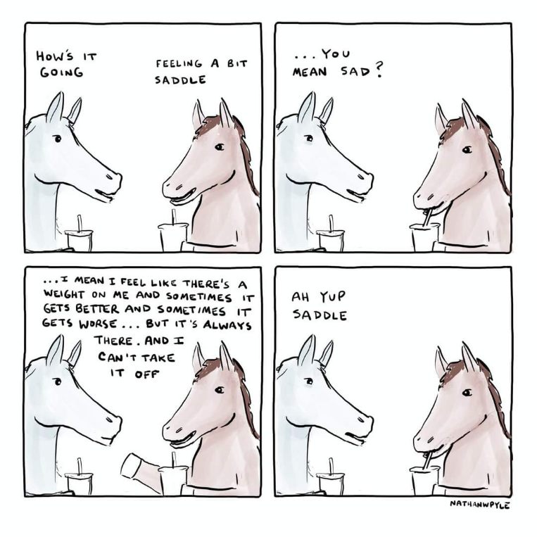 Horse mishears 'sad' as 'saddle' and I'm losing it