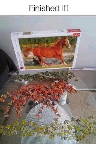 When you finish the puzzle but it looks like a horse explosion instead of a horse