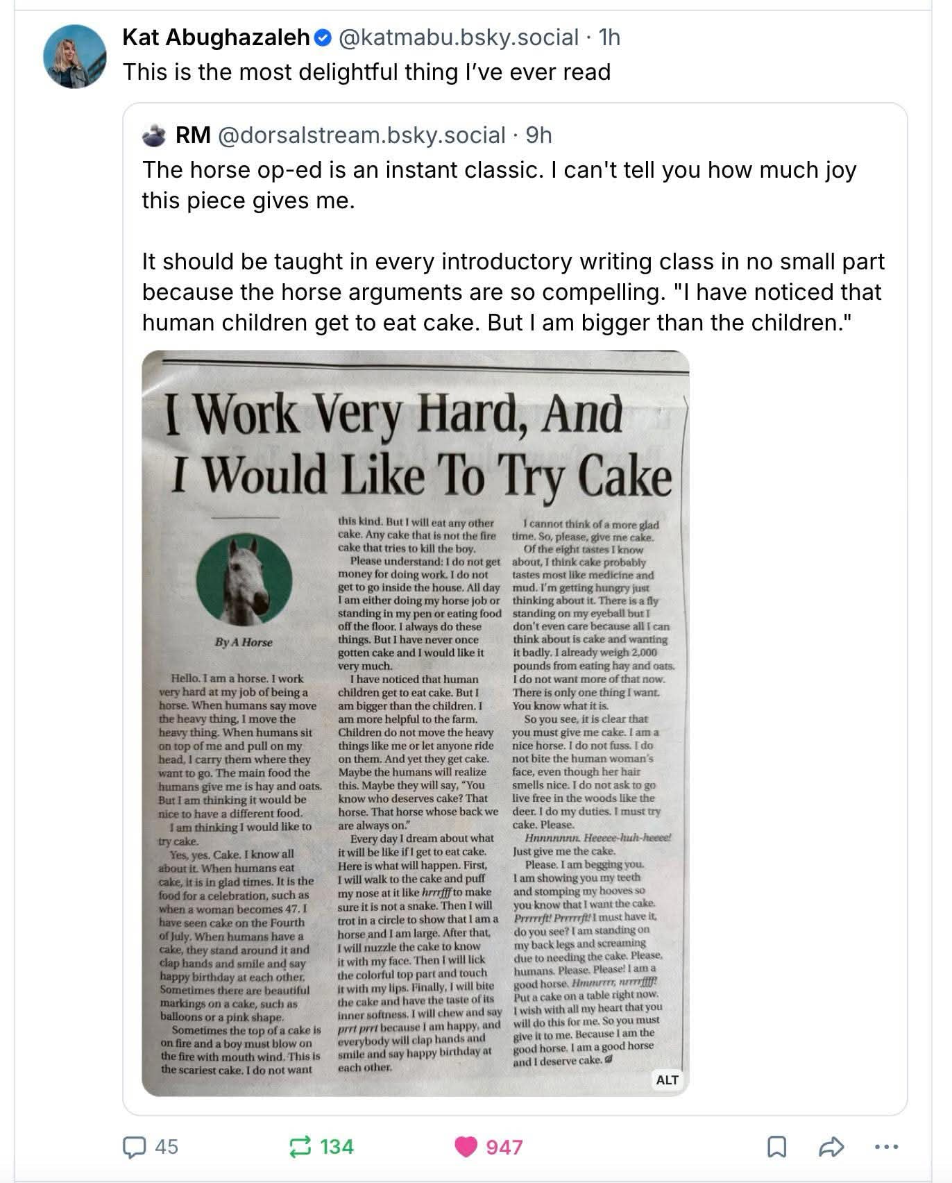 This horse wrote an essay about wanting cake and it's the funniest thing I've read all day