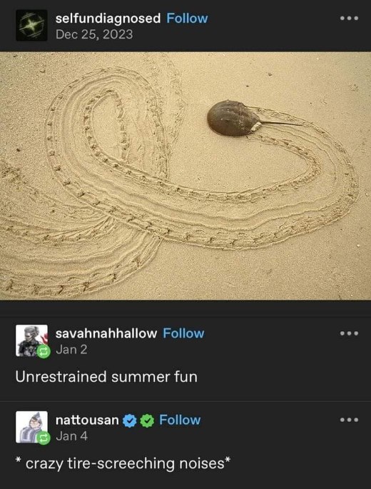 My horseshoe crab just did donuts in the sand, lol