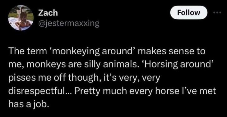 This person is mad that 'horsing around' implies horses don't work, but 'monkeying around' is fine cause monkeys are silly.