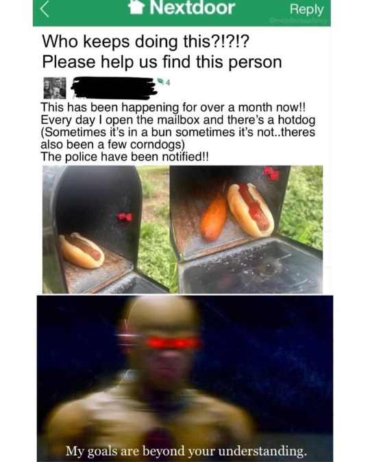 Someone's leaving hotdogs in mailboxes and this dude's trying to solve it like it's a federal case.