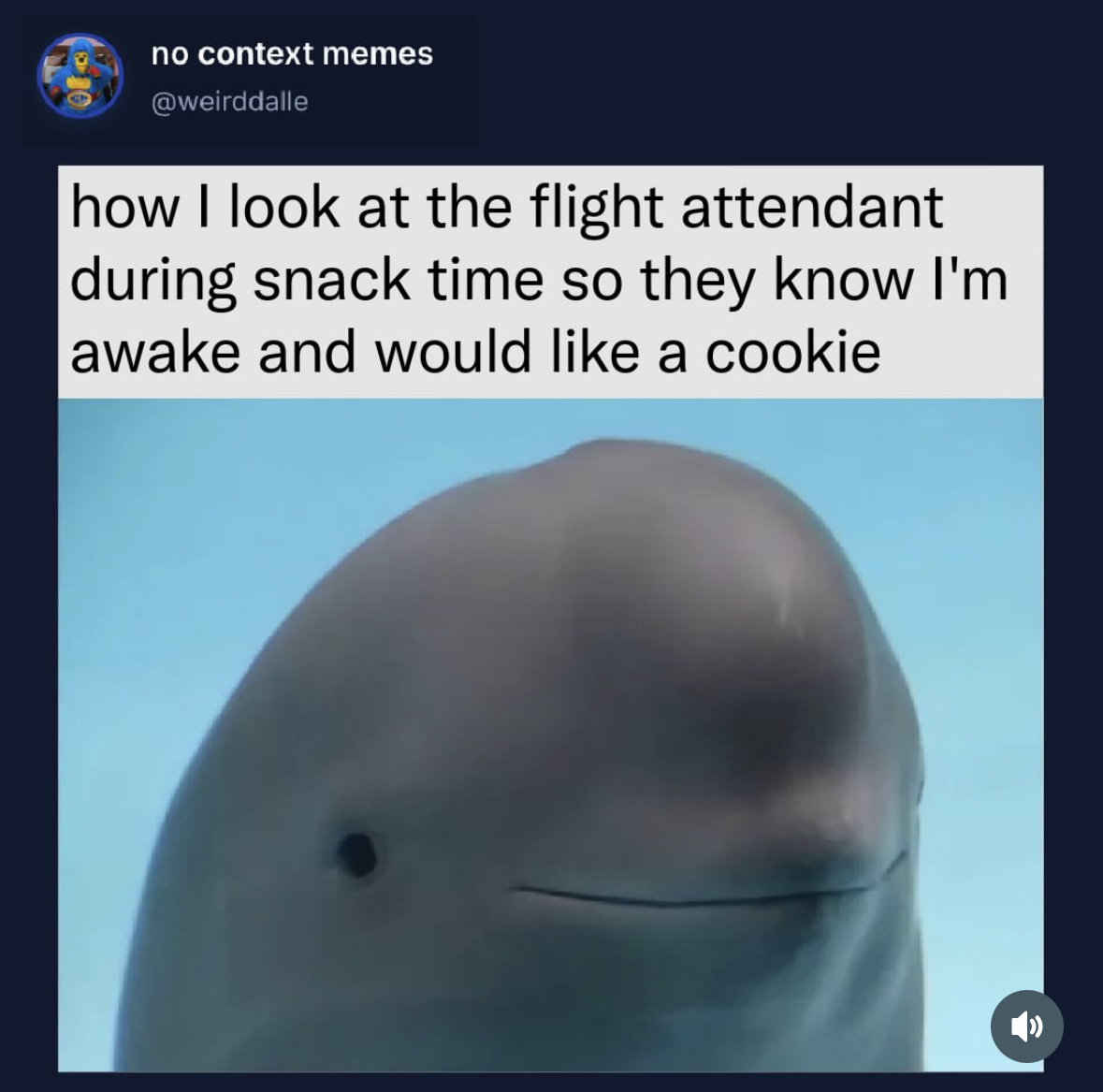 When you gotta let the flight attendant know you're still alive and need snacks
