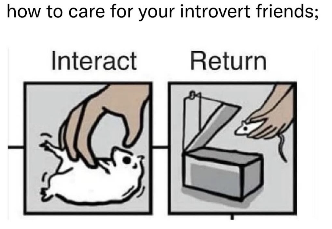 How to care for your introverted friends: interact, then return them to their natural habitat