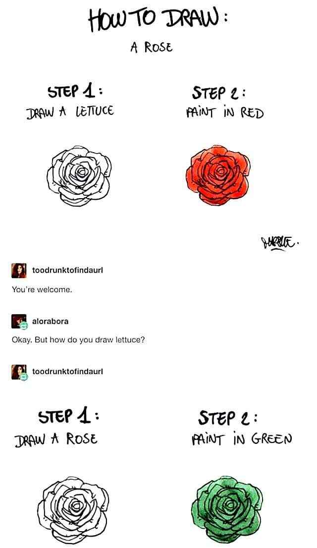 Instructions on how to draw a rose, but step one is to draw a lettuce. So close, yet so far.