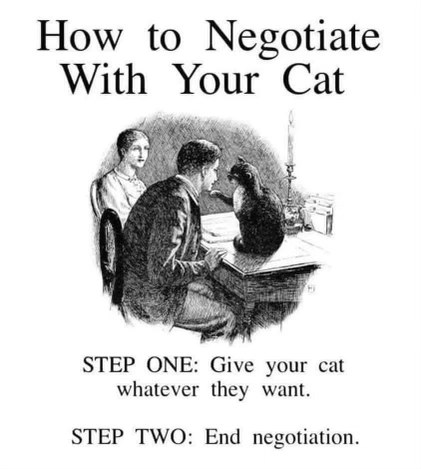 Basically, cats always win negotiations. Step one is just giving them what they want for step two.
