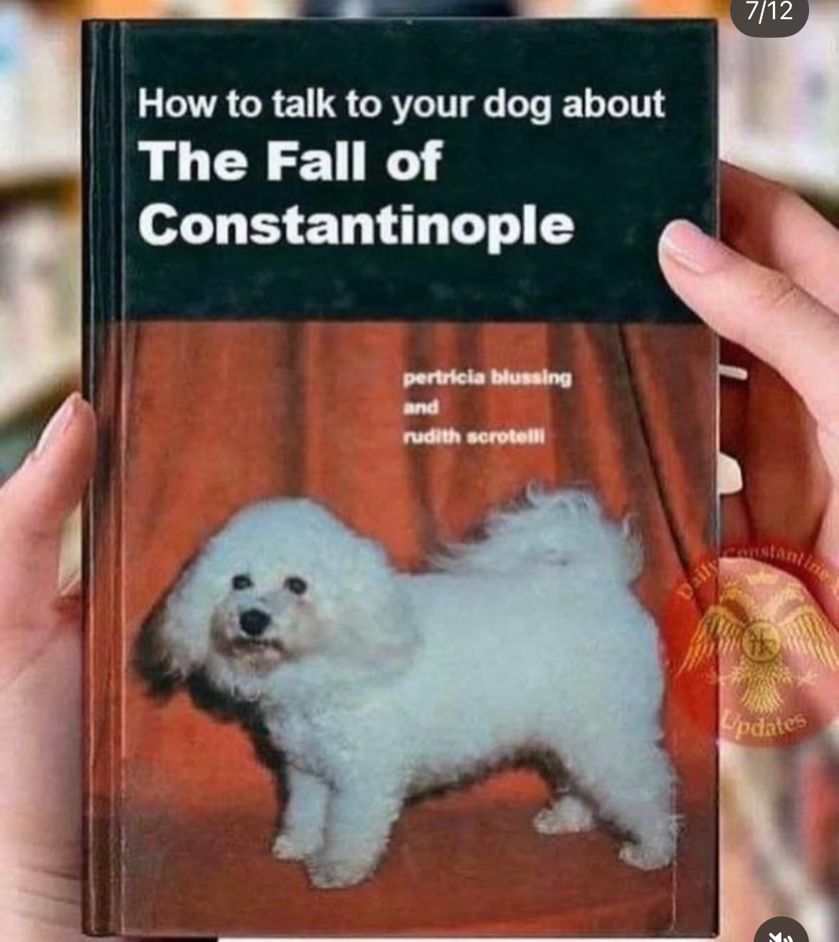 Me trying to explain complex historical events to my dog, who just wants treats.
