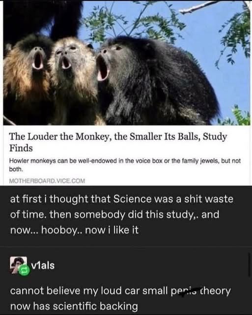 So apparently the louder the monkey, the smaller its balls? And someone compared this to their loud car small penis theory. I love the internet.