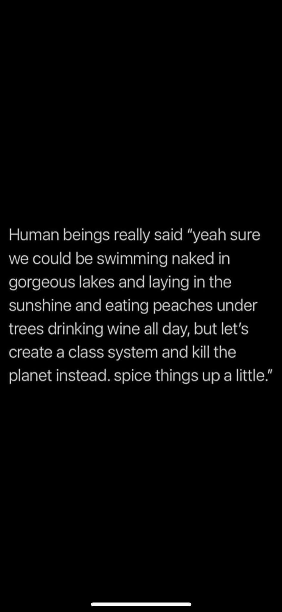 Humans had one job: chill, and they really chose chaos instead.