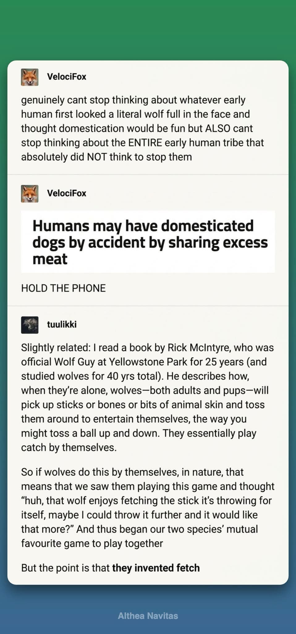 Wait, so dogs were domesticated by accident because humans and wolves just started playing fetch together?