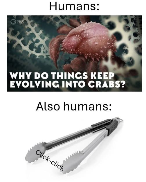 Scientists wonder why everything evolves into crabs, but then humans just invent tongs to make crab noises.