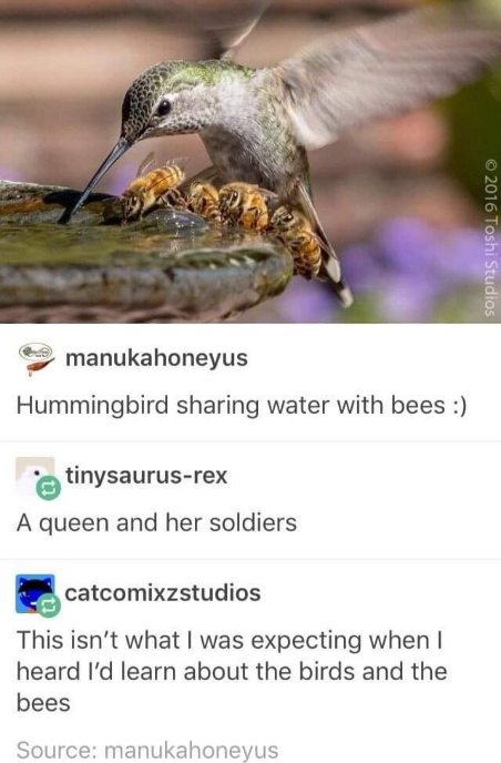 OMG when the kids learn about birds and bees and it's not what they expected 😂