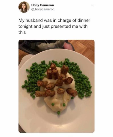 My husband was supposed to cook dinner and this is what he served me. It looks like some kind of monster.