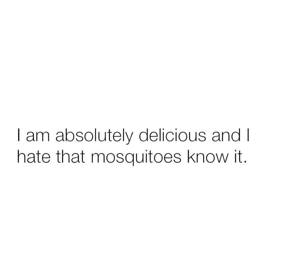 So I guess I'm a snack for mosquitoes.