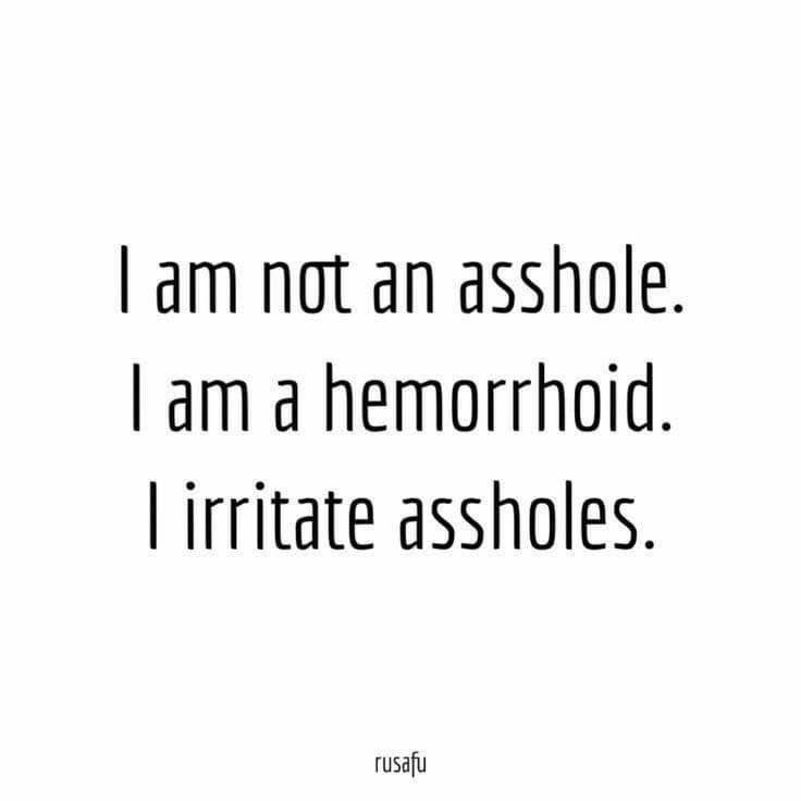 I'm not an asshole, I'm a hemorrhoid that irritates assholes. Sounds about right.