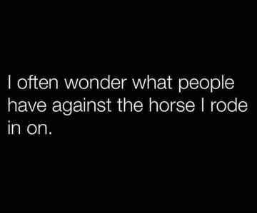 I seriously have no idea why people hate the horse I arrived on.