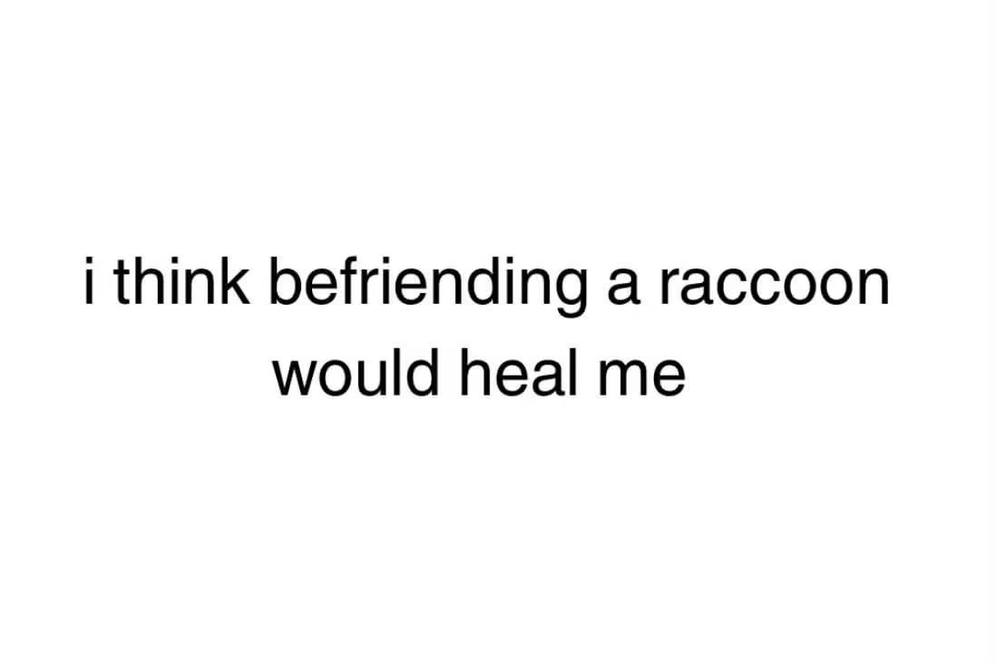 ngl i think if i had a raccoon friend it would fix all my problems