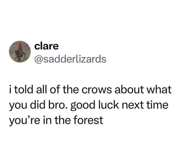 Oh no, you've angered the crows. Better watch out in the forest.