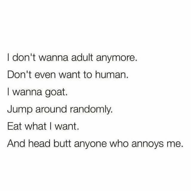 Honestly, I think we've all had moments where we just wanna be a goat and headbutt people.