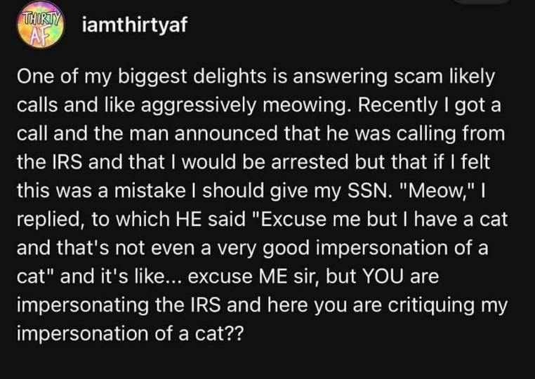 This person kept scam callers talking by meowing at them, and then the scammer actually tried to critique their meowing. Like, who are you?