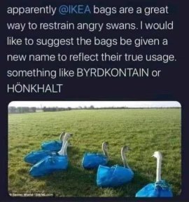 IKEA bags are apparently good for bagging swans, and the suggested names are kinda hilarious