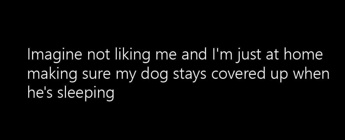 Priorities, people. I'm busy making sure my dog is comfy.