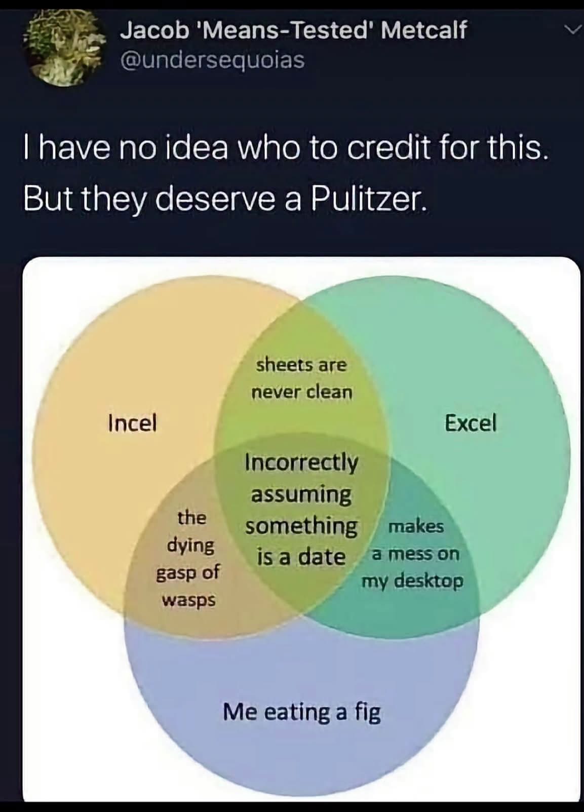 This venn diagram is peak internet humor, perfectly capturing the chaotic intersection of inceldom, messy Excel sheets, and eating a fig.