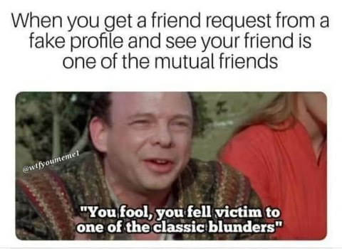 When you accept a friend request from a fake profile and one of your real friends is a mutual