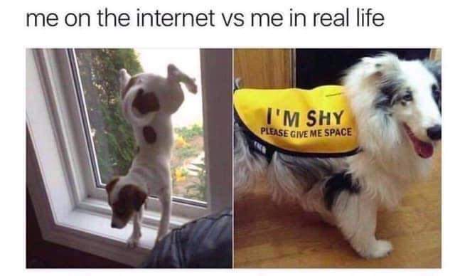 Me online being all outgoing vs. Me in person wanting to disappear