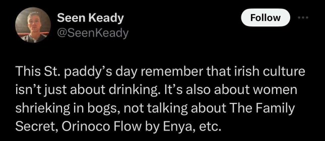Irish culture is apparently screaming in bogs and listening to Enya, not just drinking lol