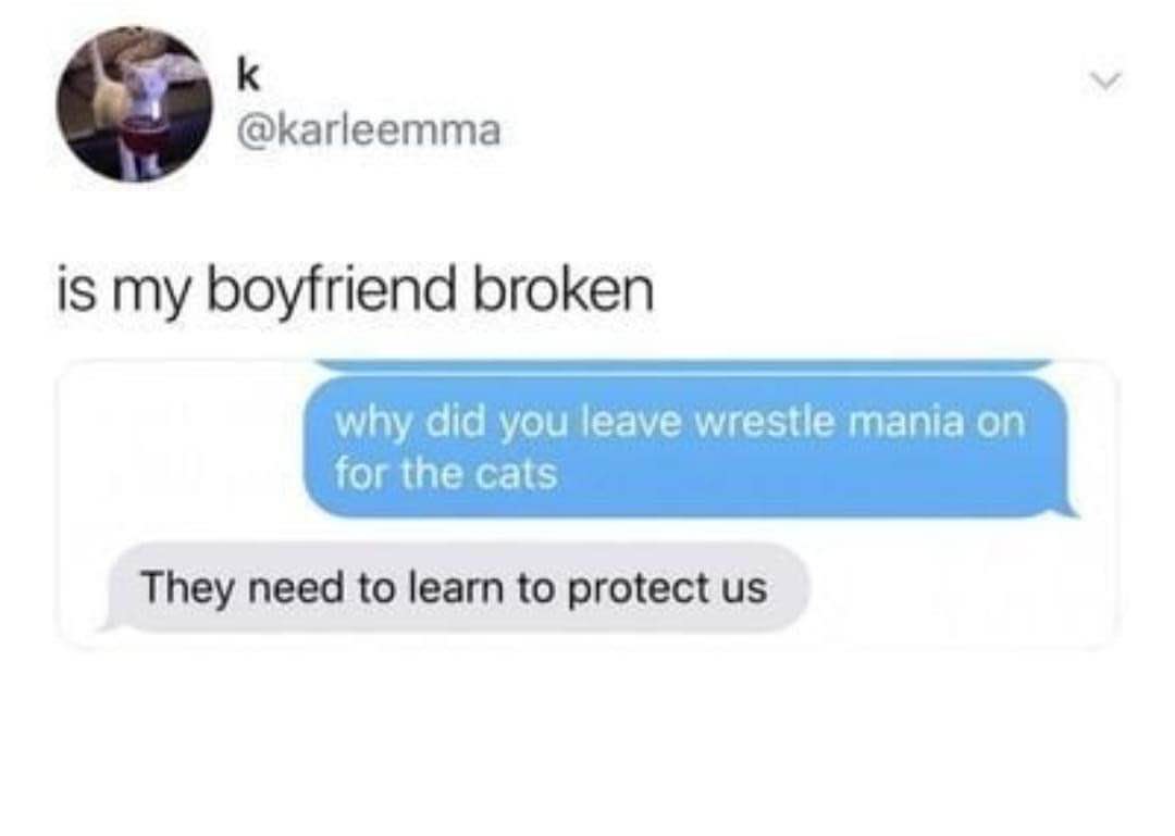 My boyfriend really left Wrestlemania to teach the cats how to protect us lol