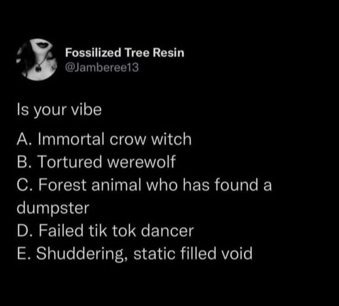 Me trying to figure out which of these extremely specific and dark vibes I'm currently embodying