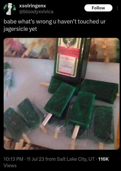My soulmate made Jagermeister popsicles...