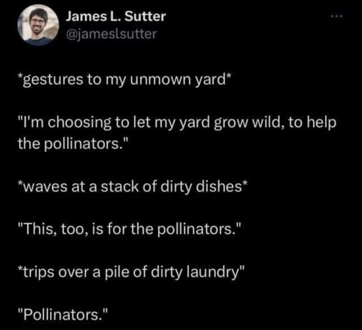 Me justifying my messy house and yard by pretending it's all for the pollinators.