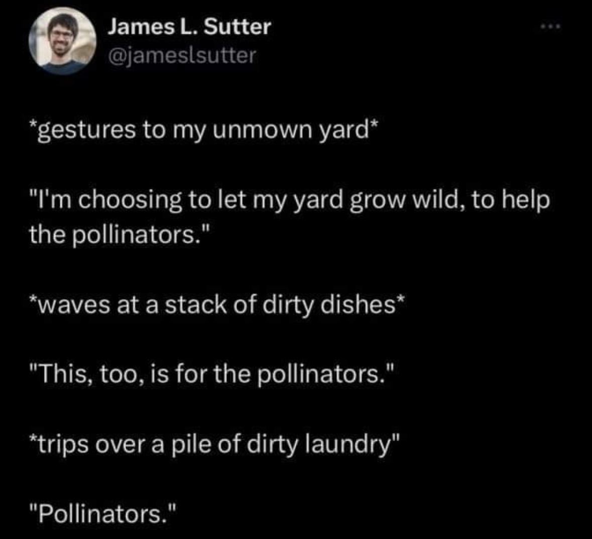 When you're trying to justify your messy house by saying it's all for the pollinators.