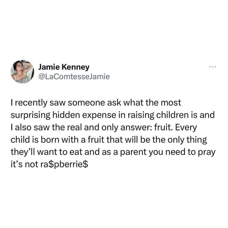 OMG parents, the truth about kids' food expenses is wildin. Pray it's not raspberries lol