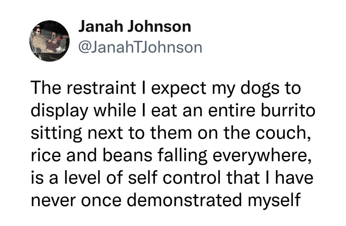 It's funny how I expect my dogs to have more self-control than I do when I'm eating a burrito