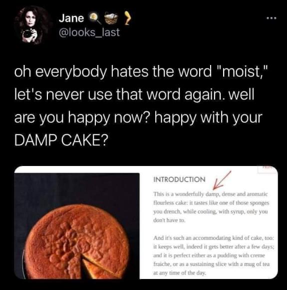 People hate the word moist so much they'd rather call cake 'damp' lol