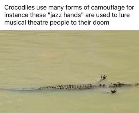 Crocodiles using jazz hands to lure people to their doom is sending me