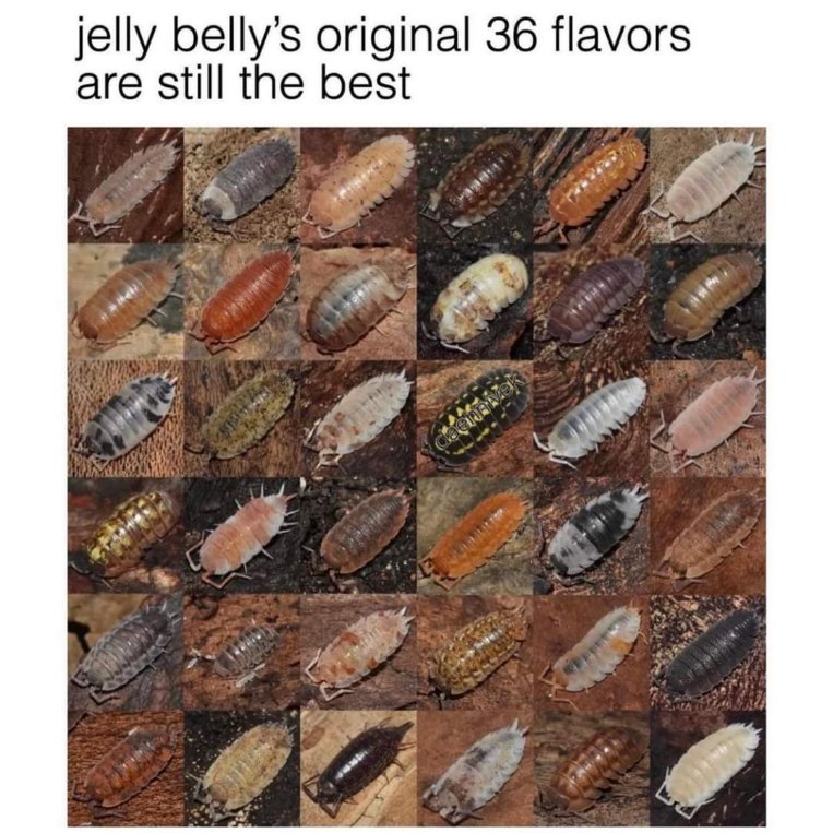 Jelly Belly's original 36 flavors are still the best. Lol who says this?
