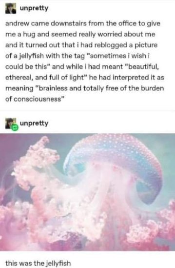 Apparently my boyfriend thought my ethereal jellyfish dream meant I wanted to be brainless lol