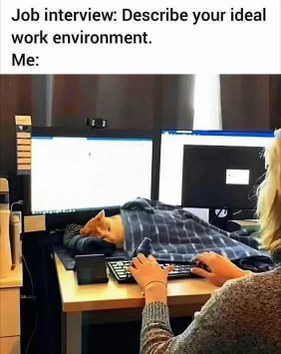 My ideal work environment involves a cat sleeping on my keyboard during a job interview.