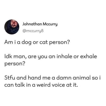 This is my internal debate about being a dog or cat person, but then I remember I just like weirdly talking to animals.