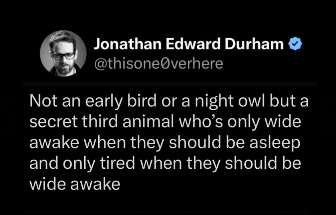 Me explaining that I'm not an early bird or night owl, but a nocturnal creature who functions best when society is asleep.